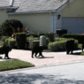 Fatal Bear Attack