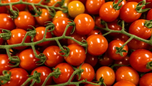 Tomatoes