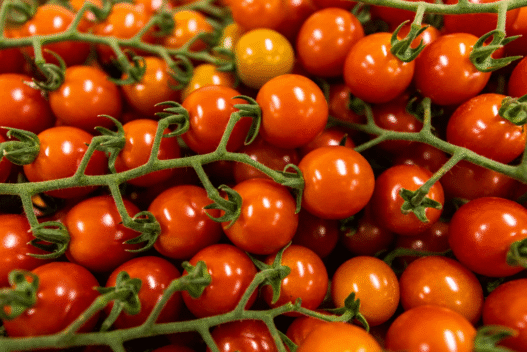 Tomatoes
