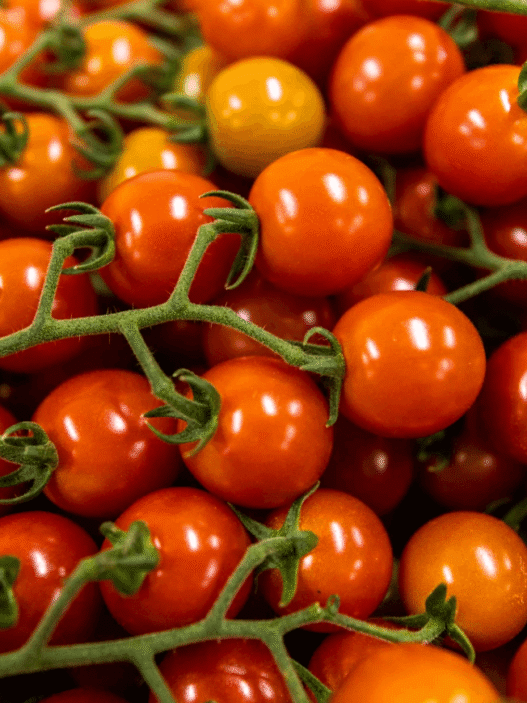 Tomatoes