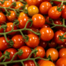 Tomatoes